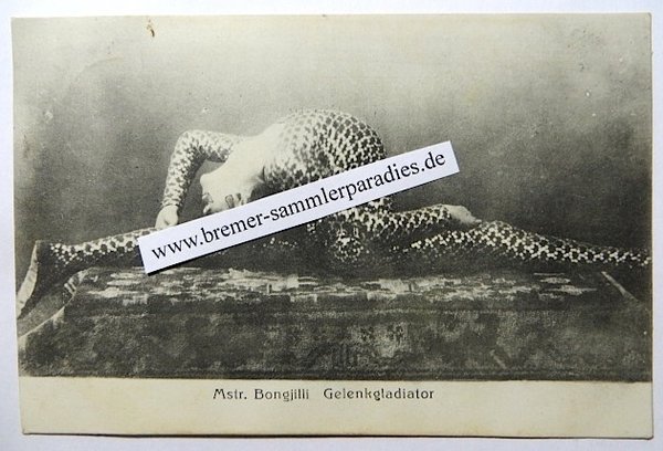 Postkarte Mstr. Bongjilli Gelenkgladiator, Original
