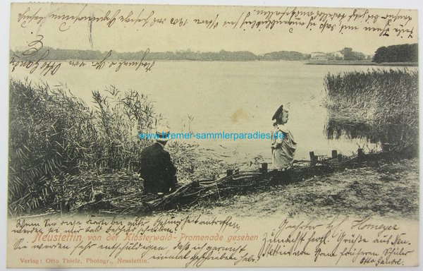 Postkarte Neustettin von der Klosterwald-Promenade gesehen, gelaufen, Original
