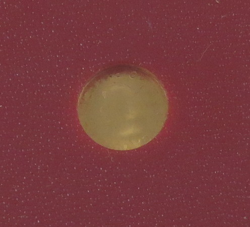 Goldmünze aus Tonga, 10 Pa'anga F.A.O. 917, Stempelglanz, 1980